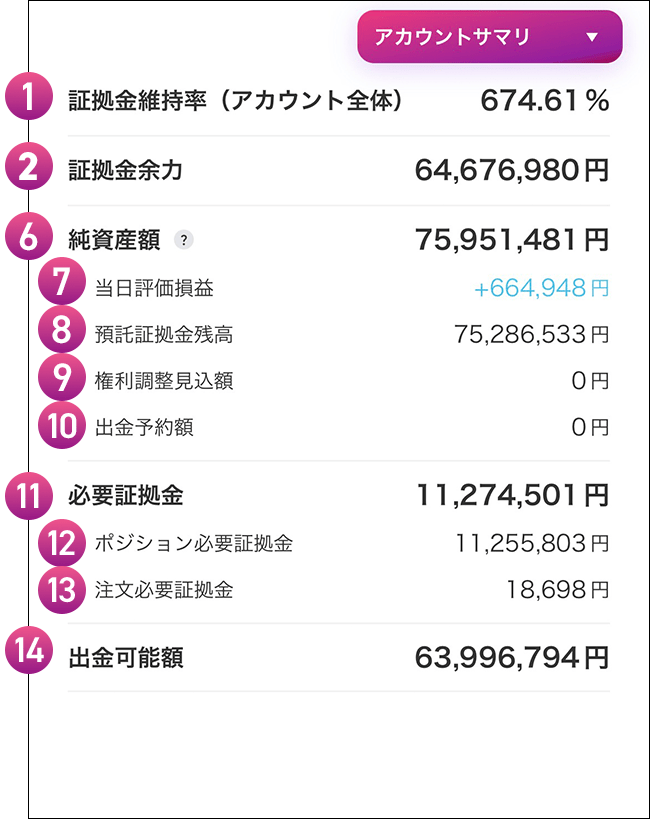 アカウント全体の資産状況 通常時