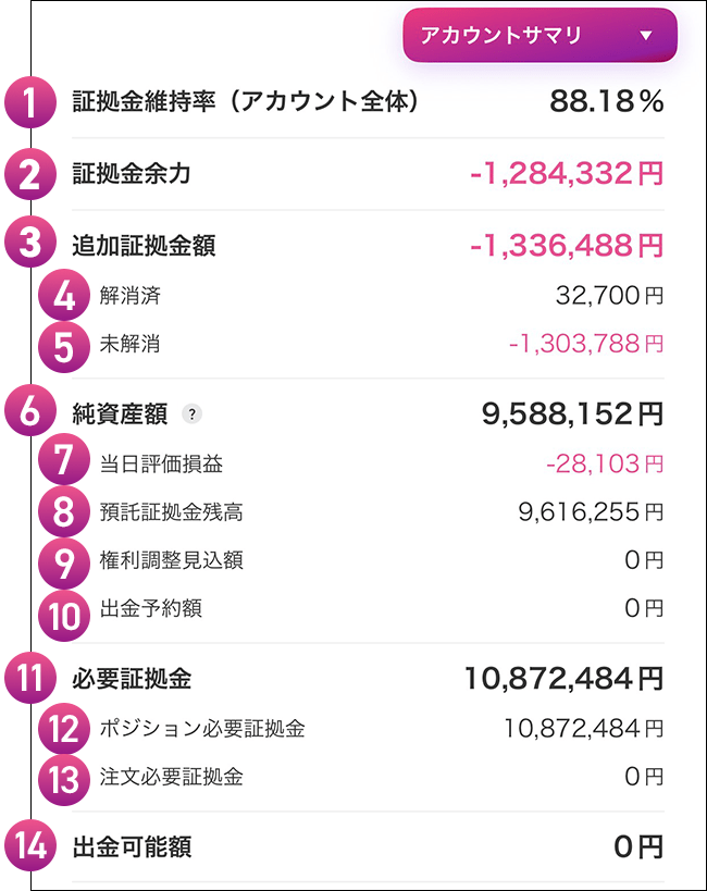アカウント全体の資産状況 追加証拠金額発生時